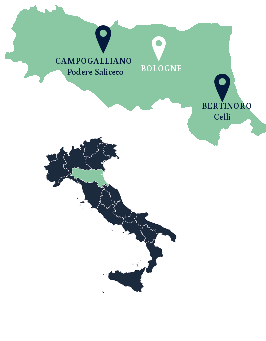 Vin d'Emilie-Romagne - Vin Italien - Bonte Divino - Vente de vin
