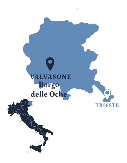 Vin du Frioul - Vin Italien - Bonte Divino - Vente de vin en ligne
