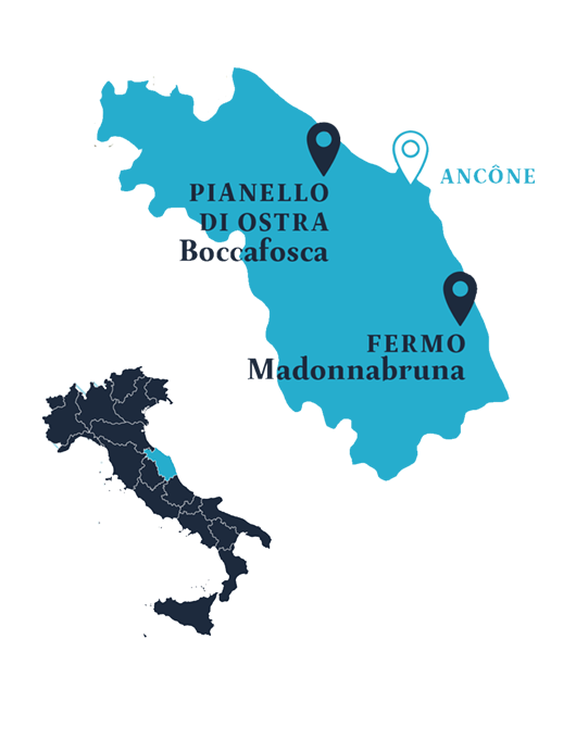 Vin des Marches - Vin Italien - Bonte Divino - Vente de vin en ligne