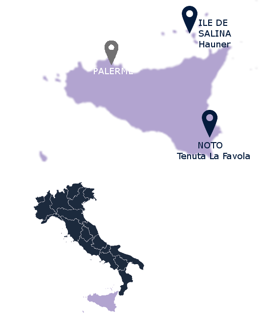 Vin de Sicile - Vin Italien - Bonte Divino - Vente de vin en ligne