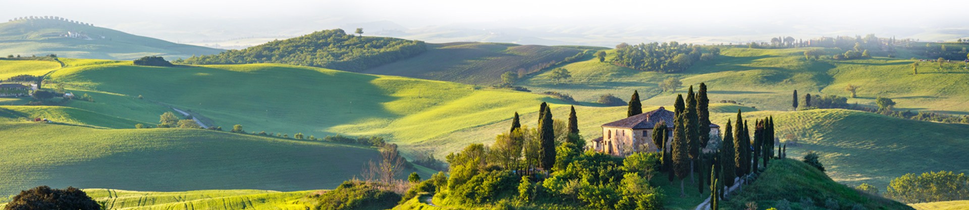 Poderi Sanguineto, domaine en Toscane, Vin Italien par bonte di Vino