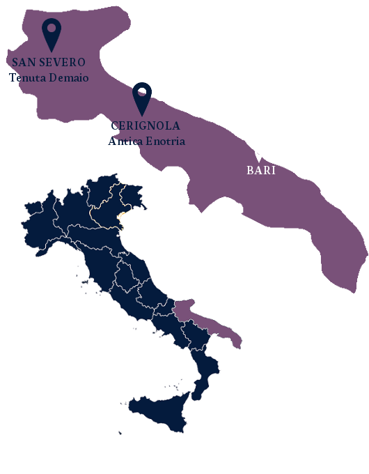 Vin des Pouilles - Vin Italien - Bonte Divino - Vente de vin en ligne